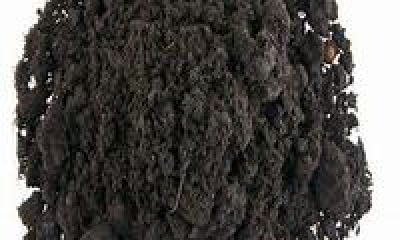 Molybdenum Alloy Powder1